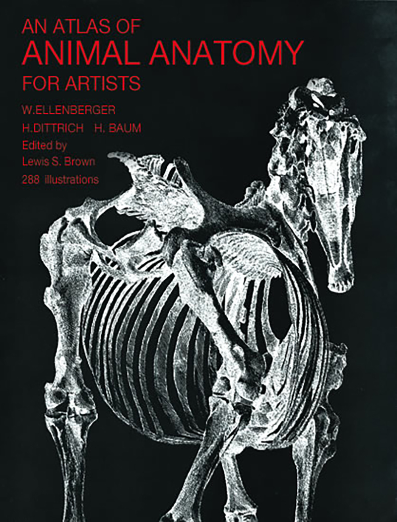 An Atlas of Animal Anatomy for Artists