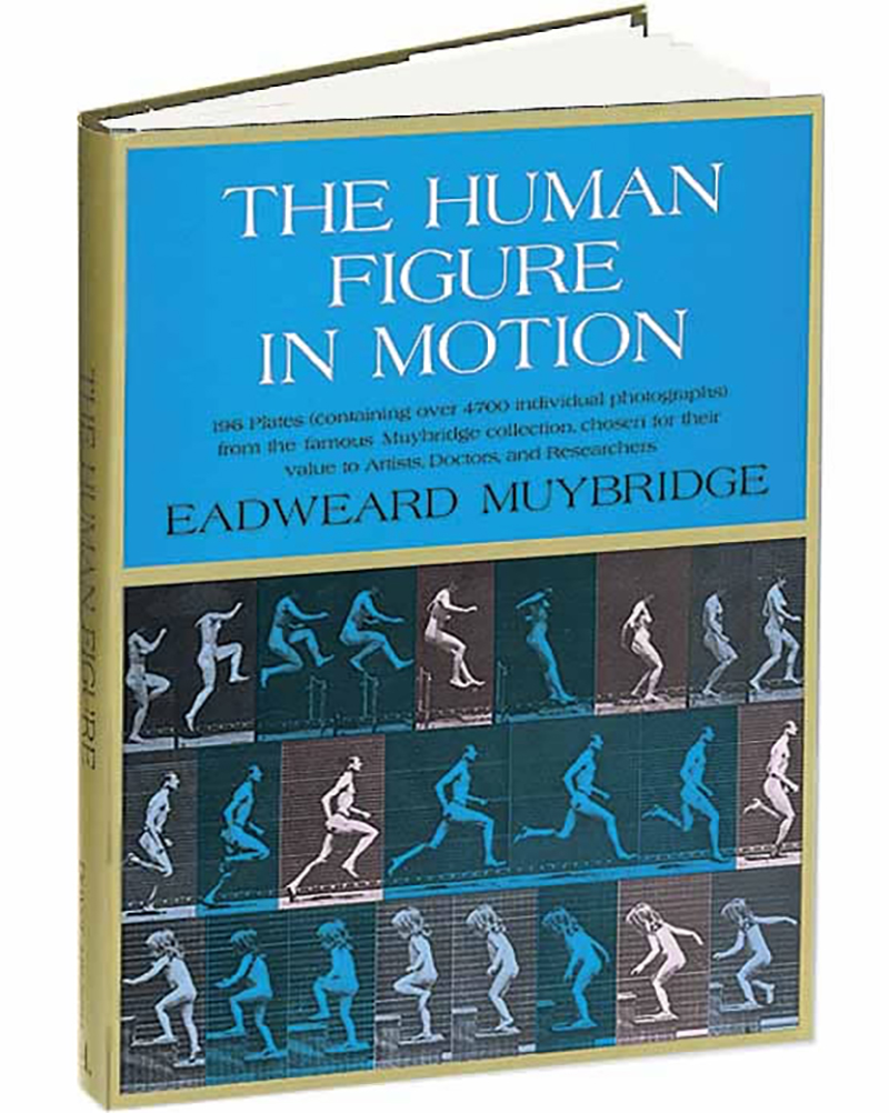 The Human Figure in Motion