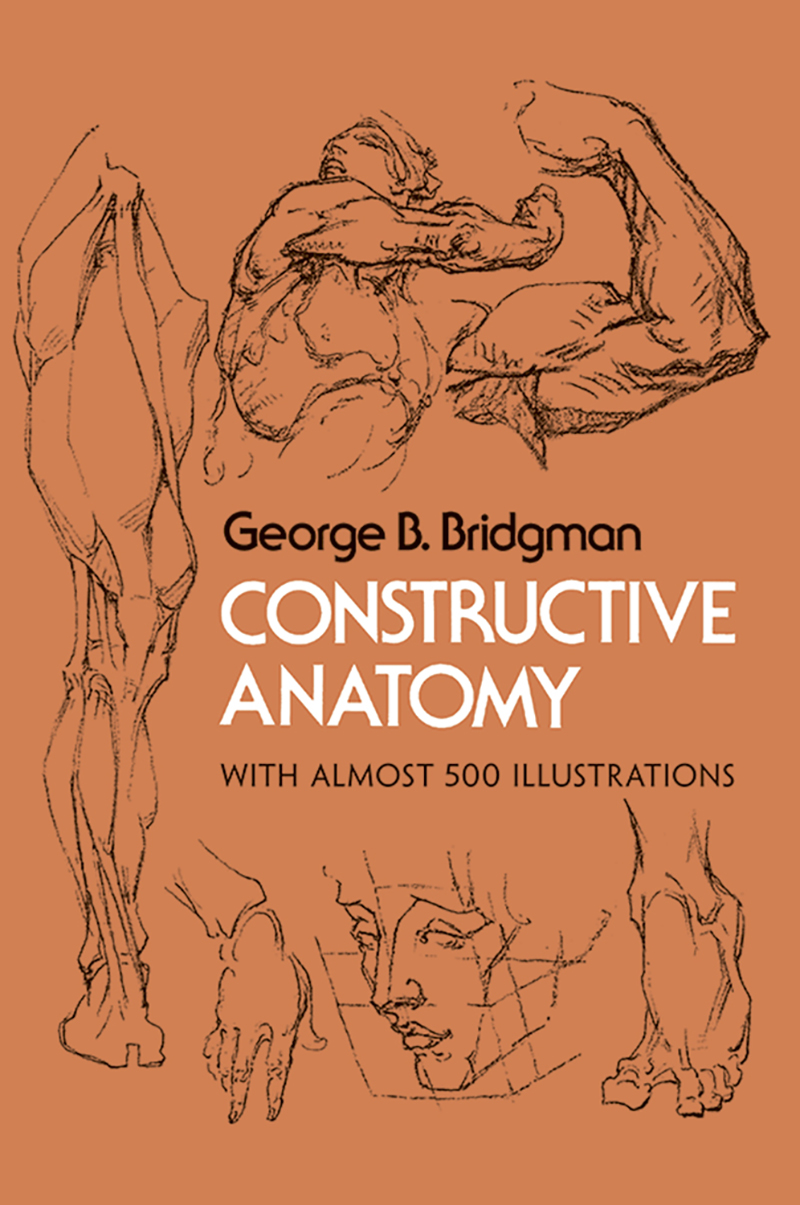 Constructive Anatomy