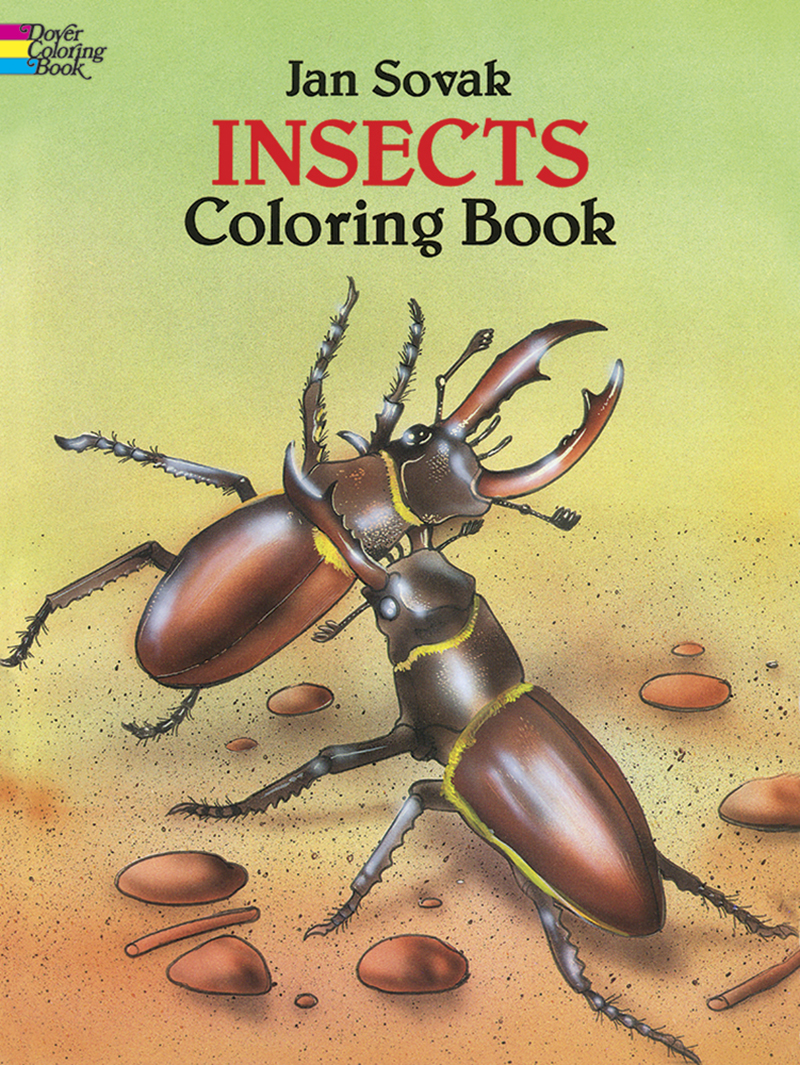 Insects Coloring Book