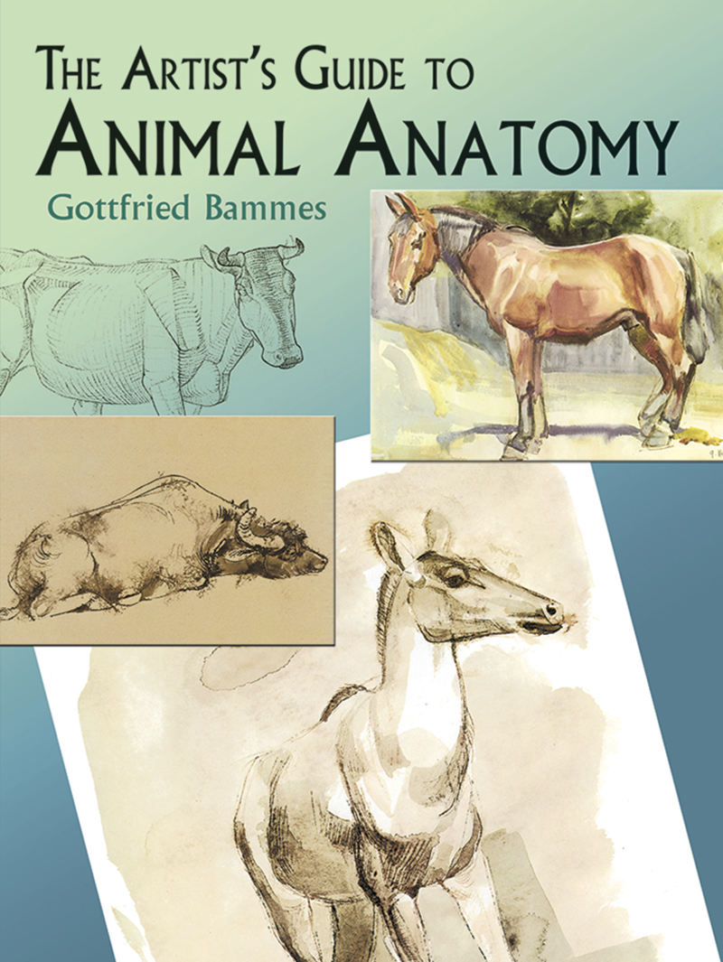 The Artist's Guide to Animal Anatomy