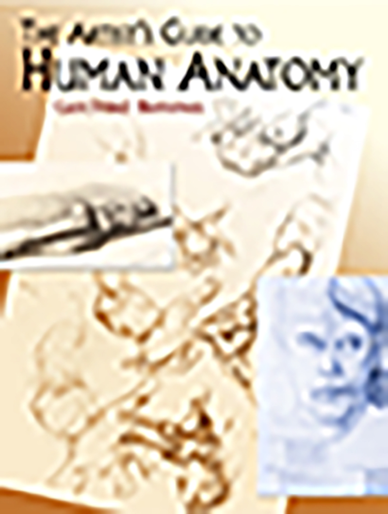 The Artist's Guide to Human Anatomy