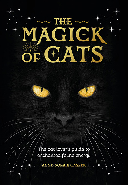 The Magic of Cats