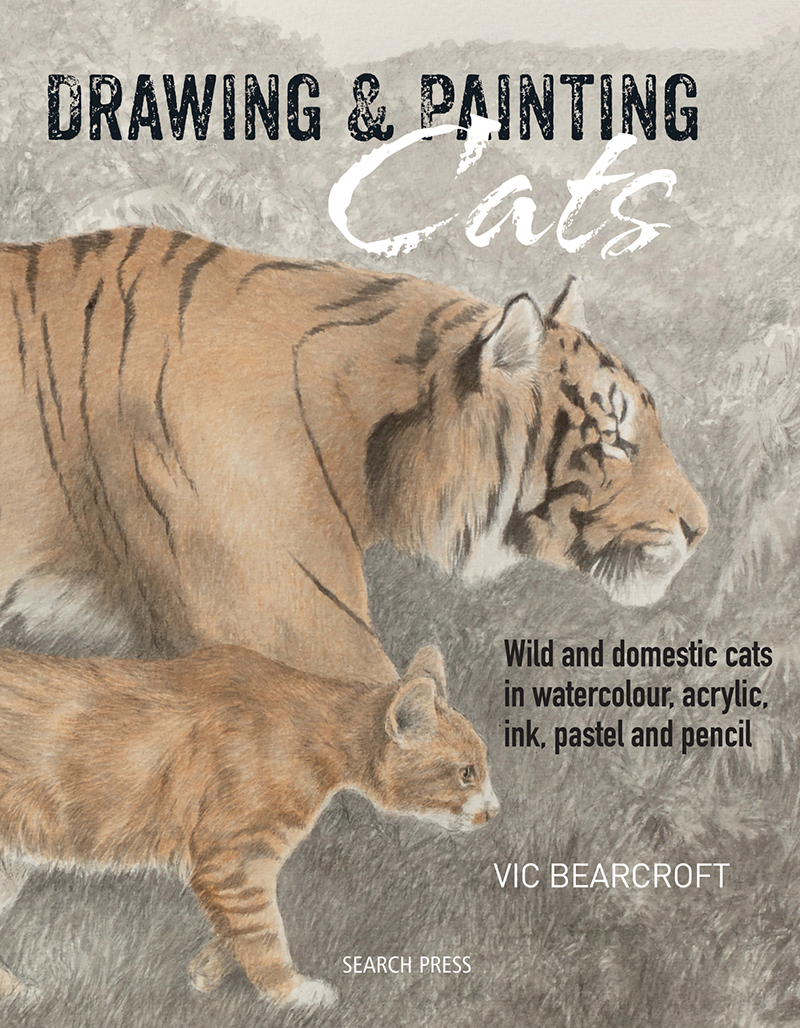 Drawing & Painting Cats