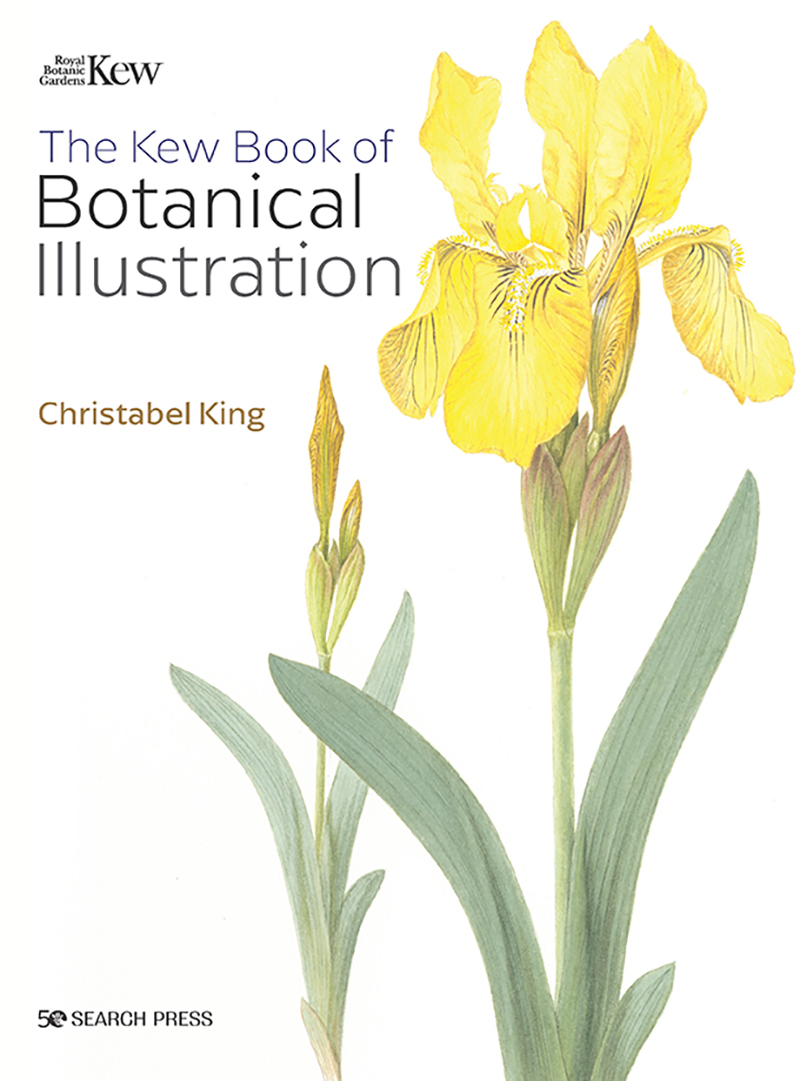 The Kew Book of Botanical Illustration (paperback edition)