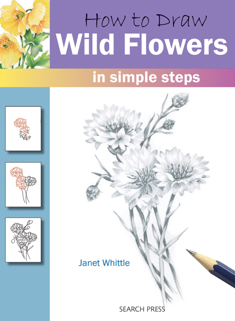 How to Draw: Wild Flowers
