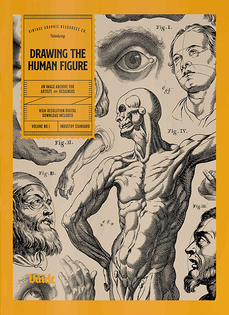 Drawing the Human Figure